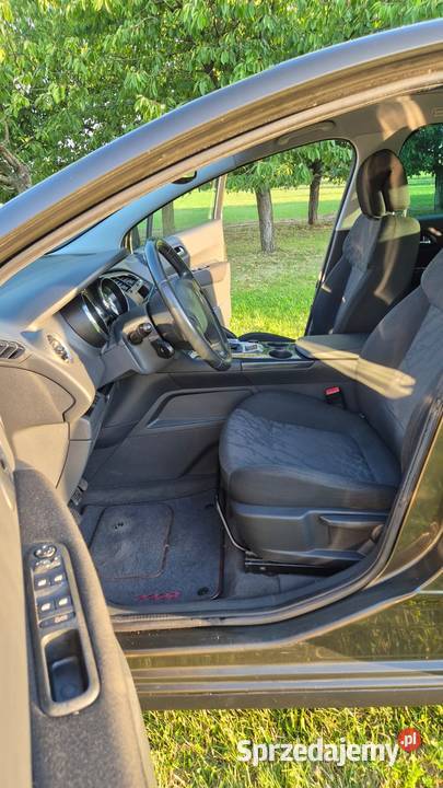 Peugeot 3008 16 Active 313000km Drzonek