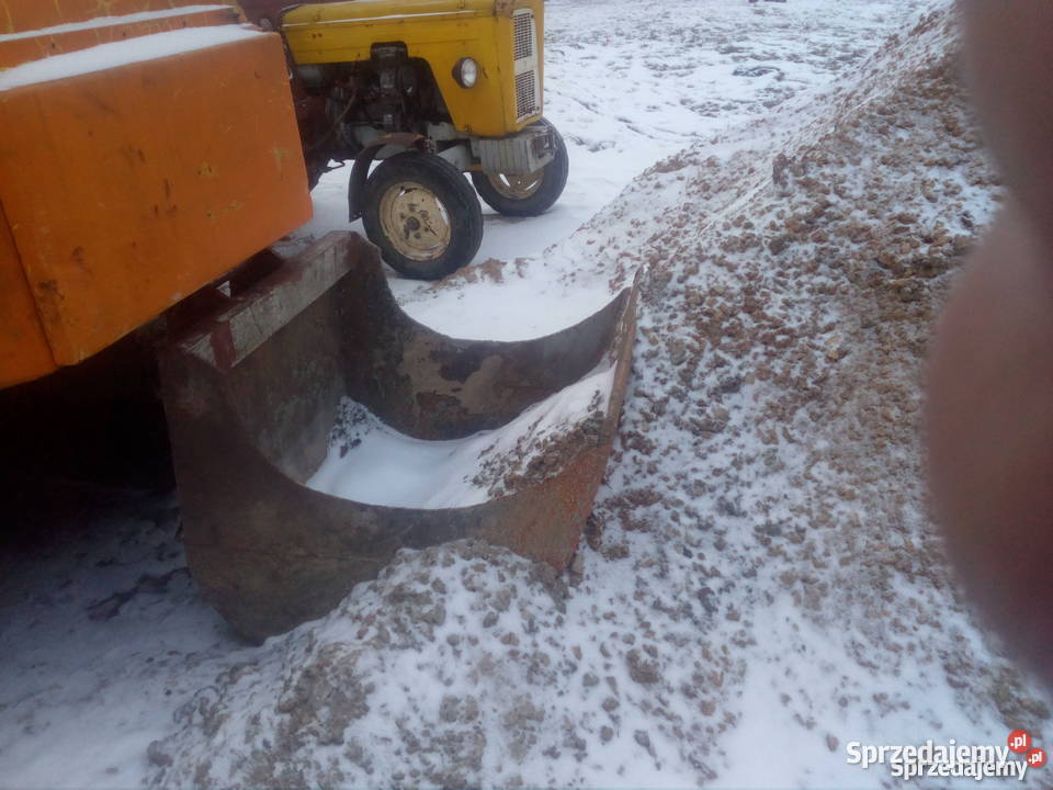 Waryński K 408 błotniak nie Karolinów