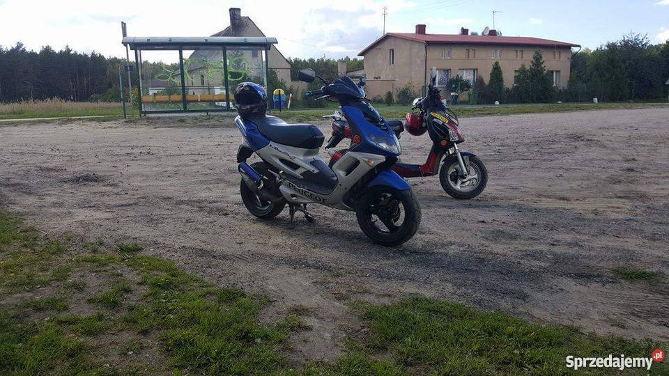 Peugeot Speedfight 2 XENON Buszkowo