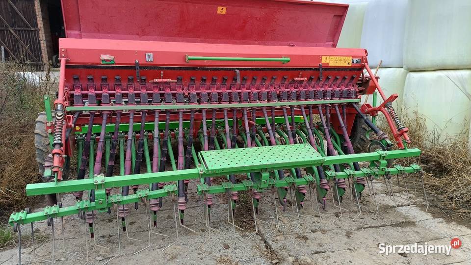 Siewnik poznaniak Rozdrażew