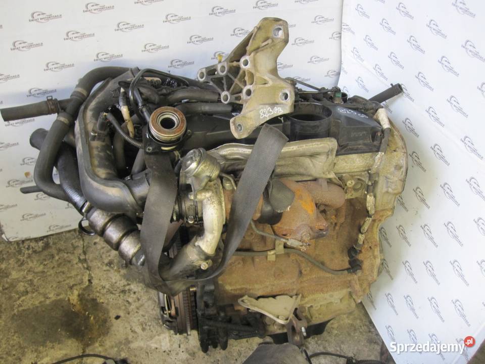 TRANSIT JUMPER BOXER 09 r 22 TDCI P8FA 85 186 osobowe Kielce