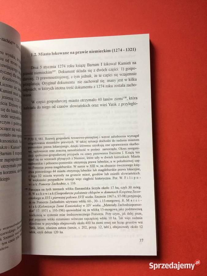 2905 Organizacja Kościelna Kamienia Pomorskiego