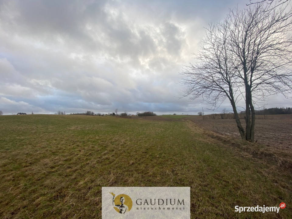 Działka w Pomieczyńskiej Hucie