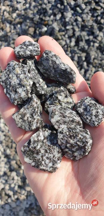 GREEN GRAVEL grys serpentynit 1622 mm Kamienie Podłoża Warka