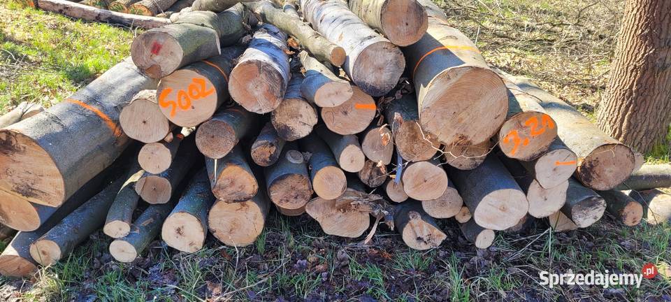 Drewno bukowe dębowe jesion brzoza Katowice