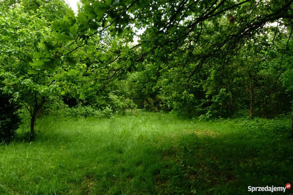 Bezpośrednio działka w Arciechowie z domkiem Arciechów