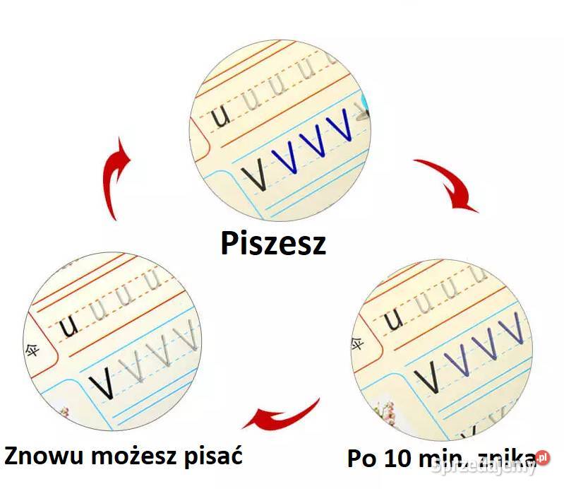Zeszyt ćwiczeń do kaligrafii Alfabet Płock