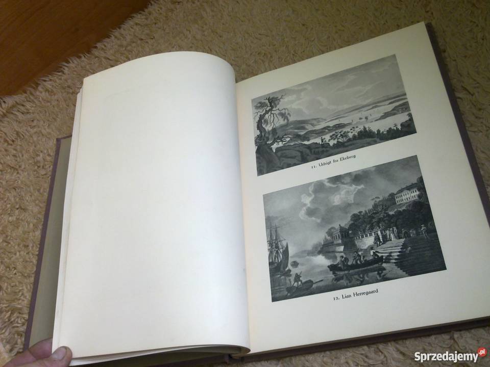 Książka Main Kampf i inne stare książki Płońsk