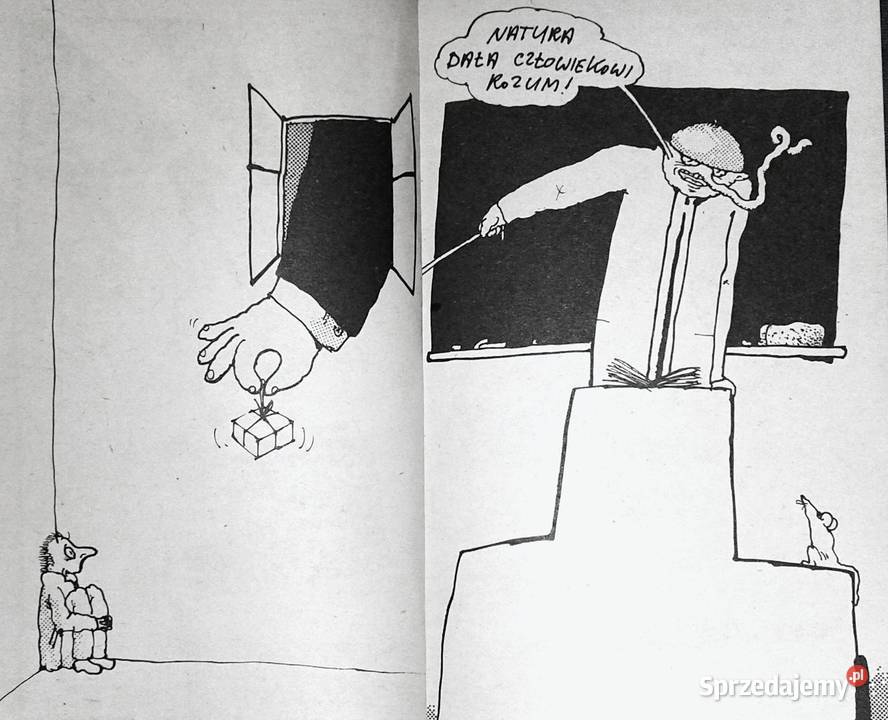 żyć Andrzej Mleczko miękka Pozostałe lubelskie Chełm