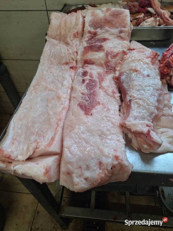 Słonina z Tucznika Trzoda chlewna wielkopolskie Warszew