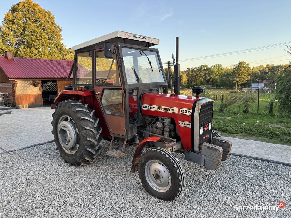 Massey Ferguson 255 mf 255 Ursus 3512 235 2812 Massey Ferguson podkarpackie Rzeszów