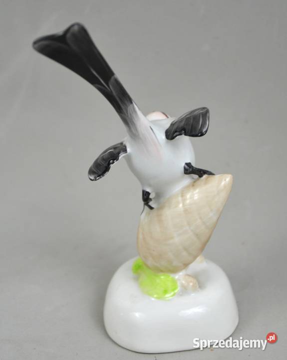 Ptak na szyszce Aquincum Budapeszt Węgry lata mazowieckie Pomiechówek