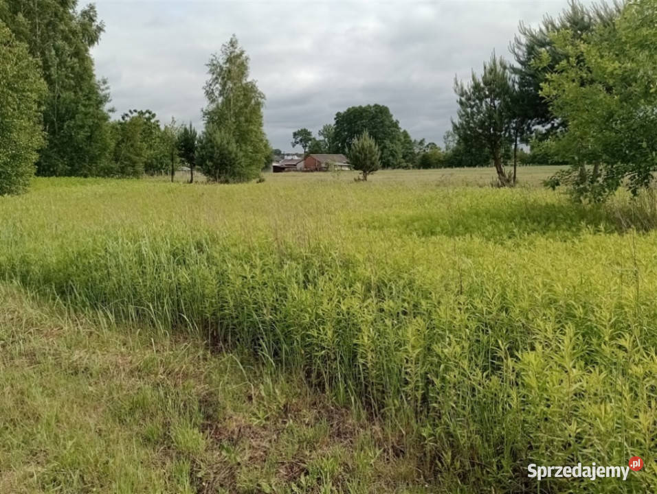 Kąty Trzebuskie działka 10 ar z WZ Sprzedam