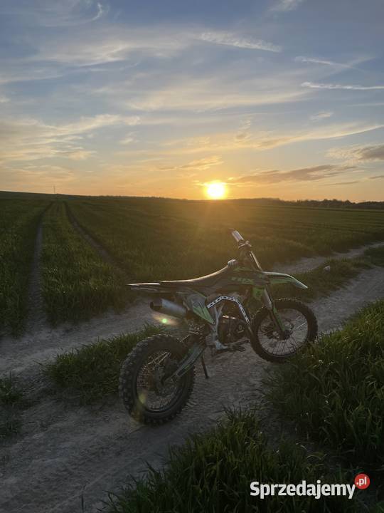 Sprzedam crossa pitgang 140 Gałęzów