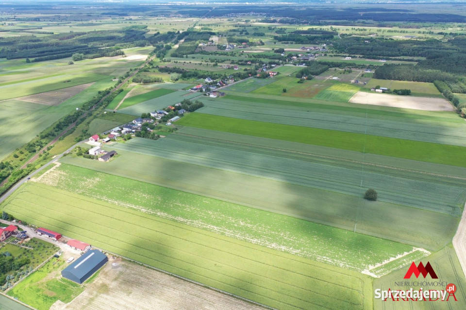 Działka 23519m2 Kowal sprzedam