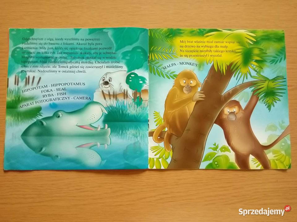 6 książeczek dzieci miękka Dąbrowa Górnicza