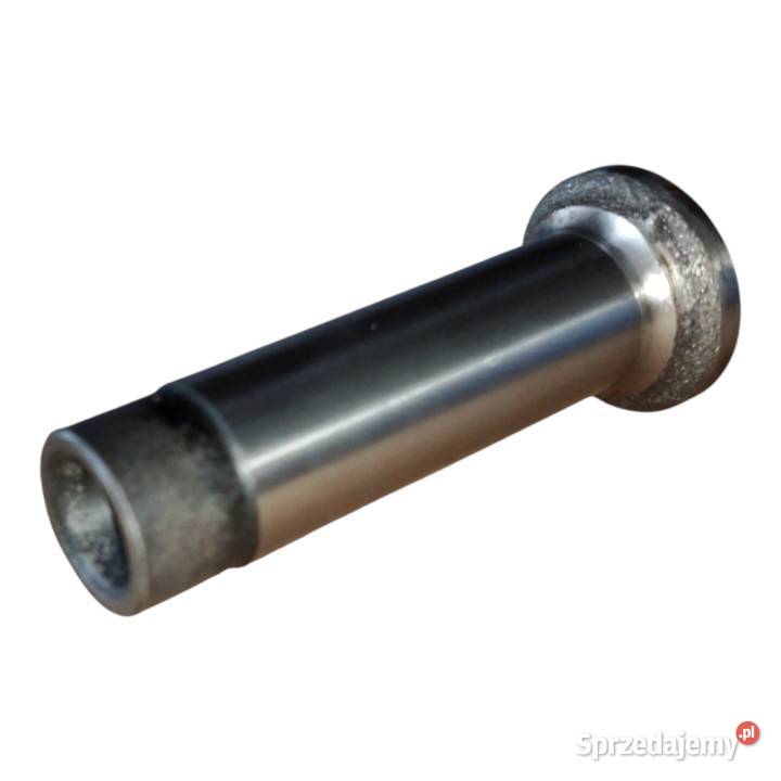 Popychacz 30543 4222069M1 31434163 4222069M1 Silnik i osprzęt Tyczyn sprzedam