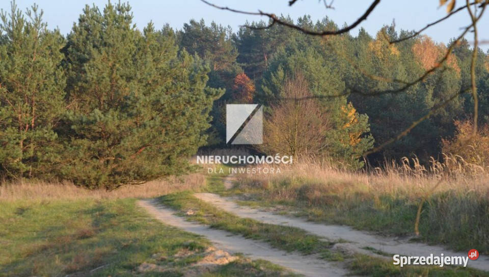 Działka budowlana 4000 mkw widok na staw Wełmin budowlana