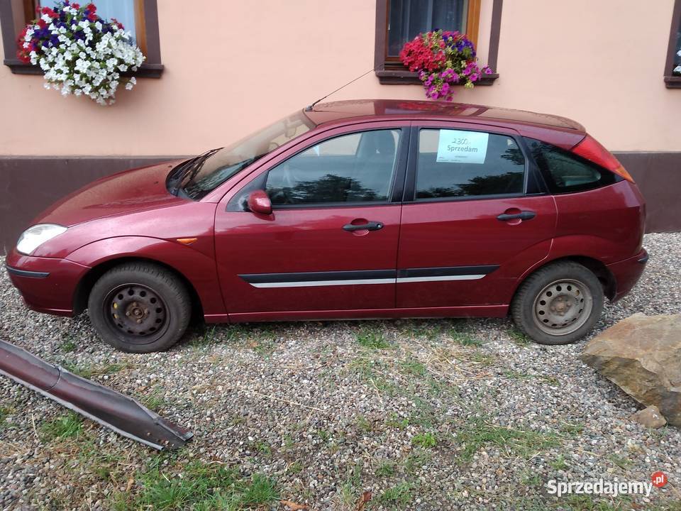 Ford focus Kłodzko