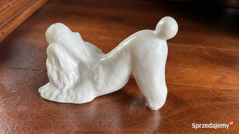 Figurka Pudel Łomonosow Leningradzka Fabryka pomorskie sprzedam