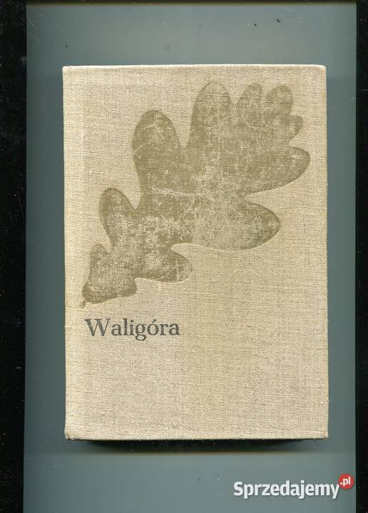 Waligóra Kraszewski Szczecin