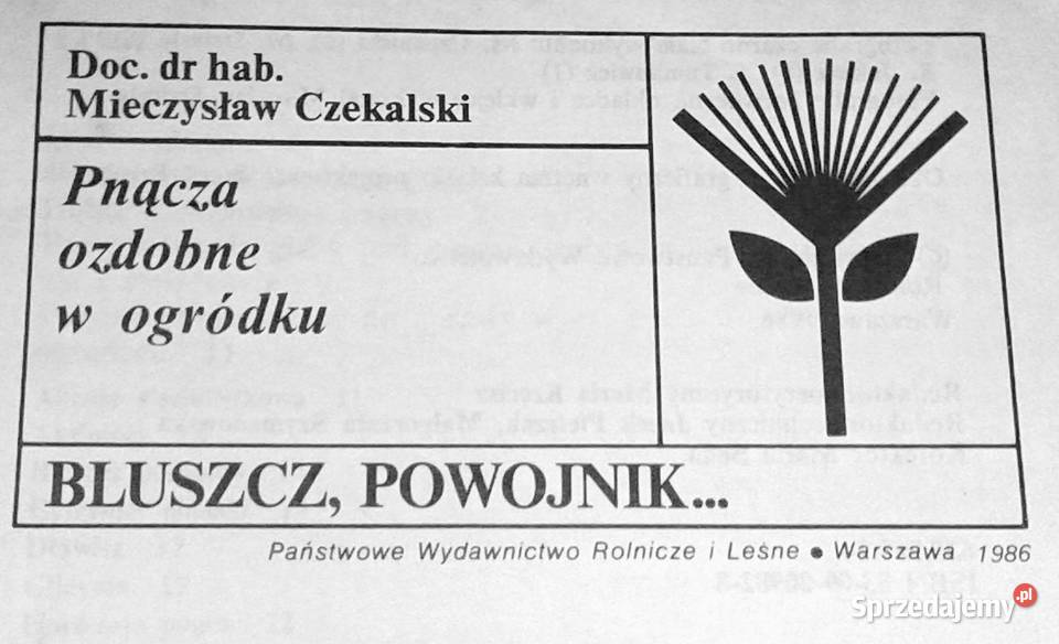 Pnącza ozdobne w ogródku Bluszcz powojnik M Chełm