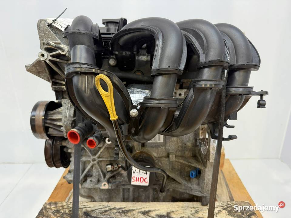 SILNIK Ford Focus II MK2 C C 16 16V 100 Silniki kompletne lubelskie Chełm