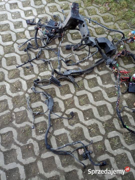 Wiązka elektryczna golf 4 całość 19TDI 110 pomorskie Parchowo