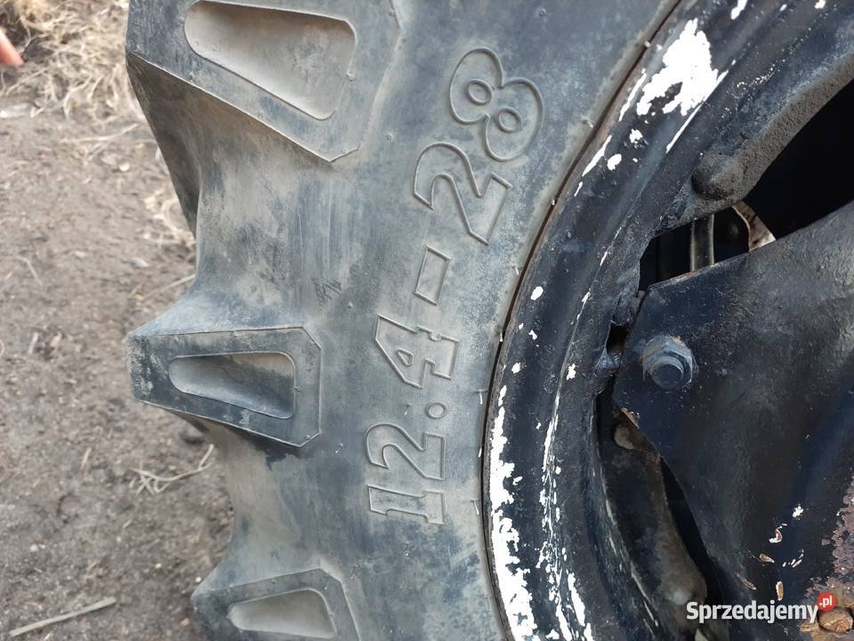 Koła duże Ursus C330 12428 Bucze