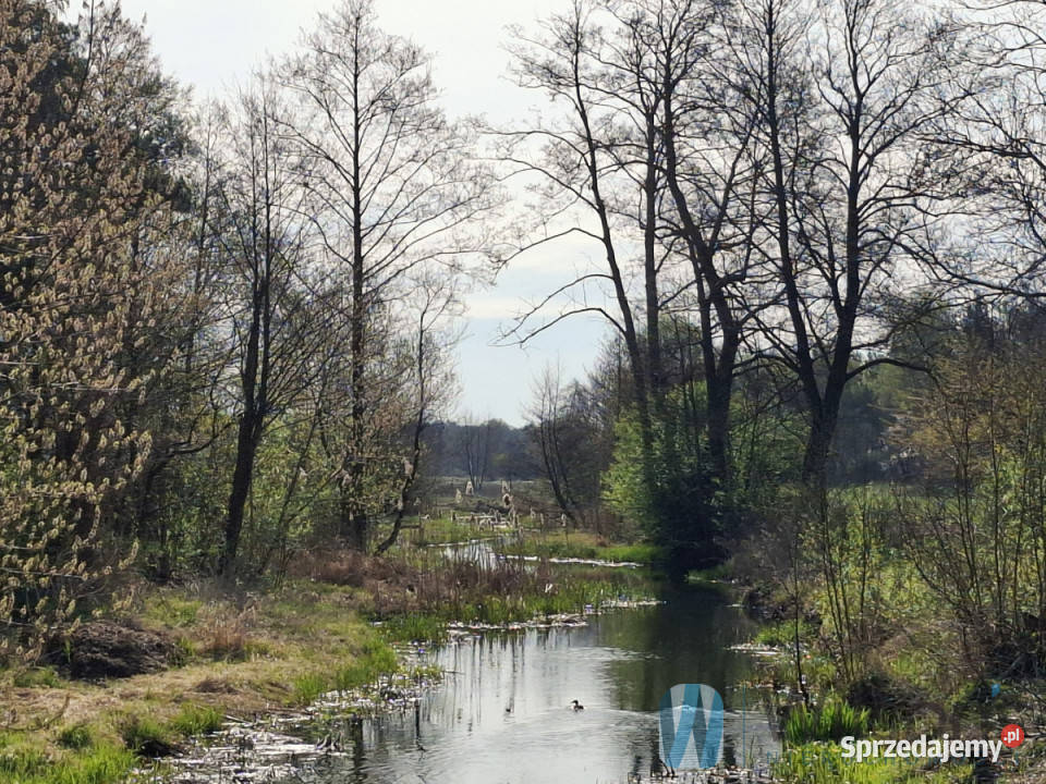 sprzedaży działki Nowe Załubice Gen Kazimierza