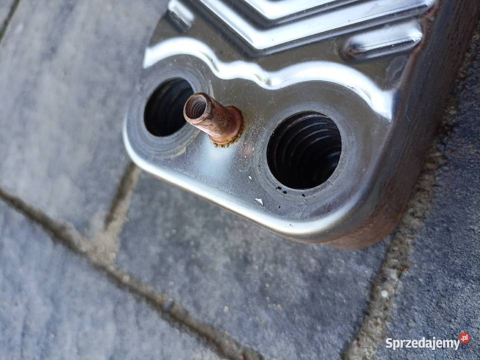 Termet Windsor 25 części różne Kotły i Piece CO