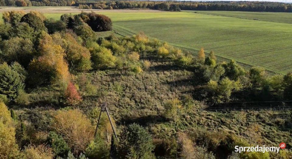 Dom 150 m działka 15 HA Gorzysław możliwa Sprzedaż pomorskie