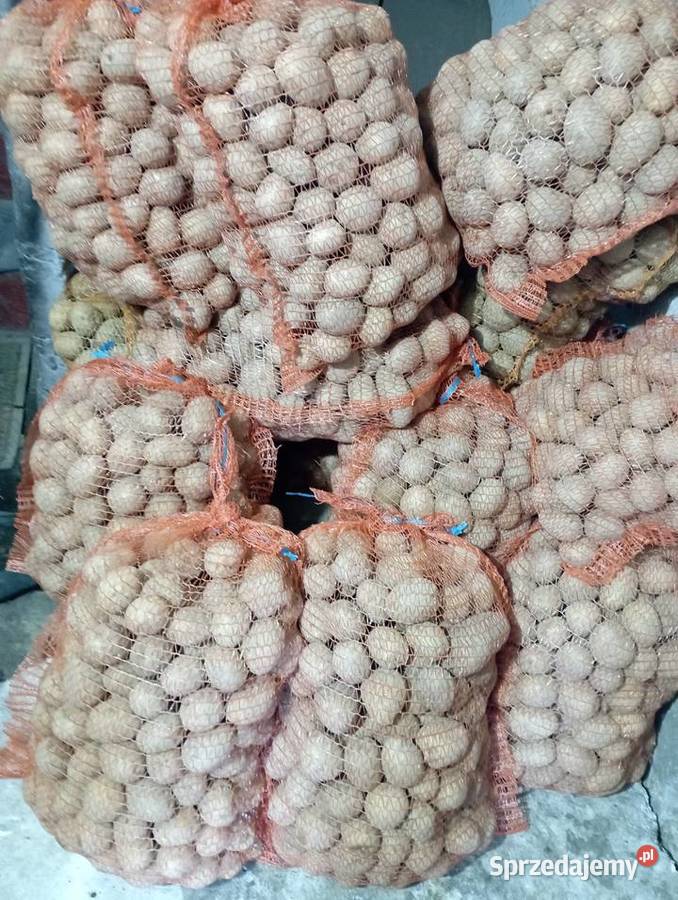 ZIEMNIAKI odm Gala Prosto Rolnika Jadalne śląskie Golasowice