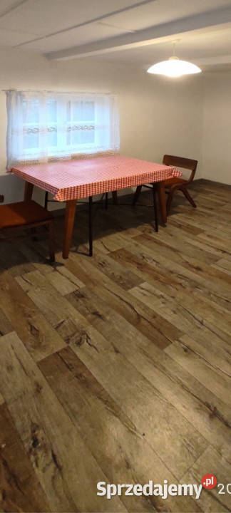 Działka rekreacyjna ROD mazowieckie Ząbki