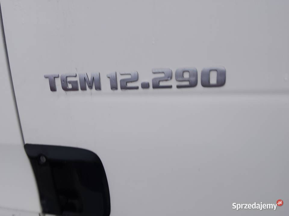 Man tgm 12290