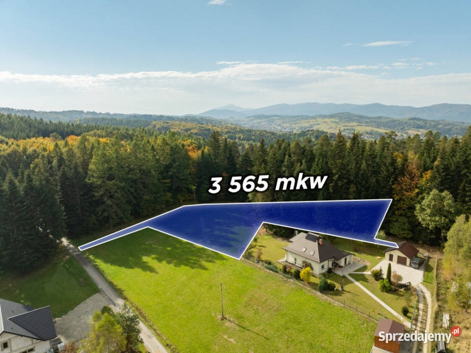 Działka Budowlana z Własnym LASEM3565 M JORDANÓW Jordanów sprzedam