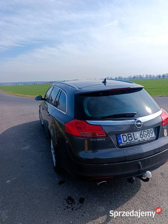 Opel Insignia lakier metallic Krzyżowa