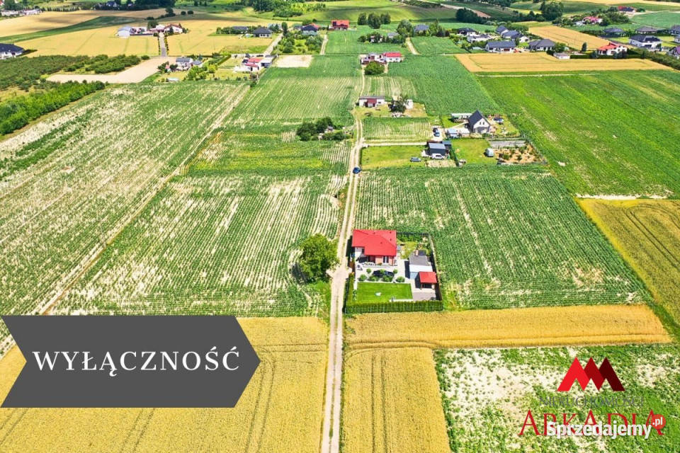 sprzedaży działki Szpetal Górny 89925m2