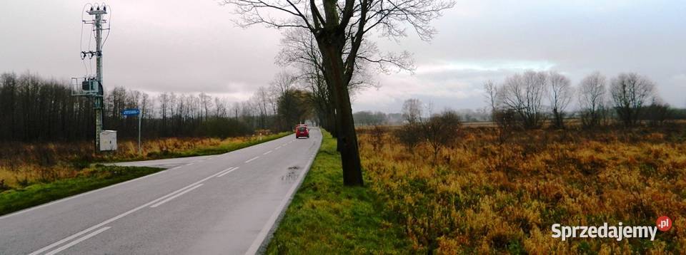 Udział 12 działki rolnej 189 ha Sprzedaż Krępsko