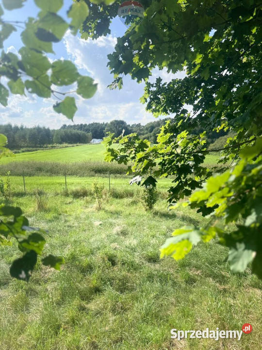 Przezmark 156 ha pod siedlisko inwestycję Sprzedaż