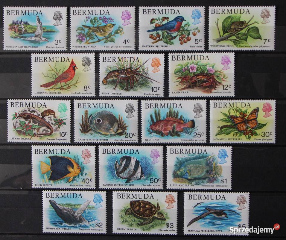 Bermudy ( fauna)