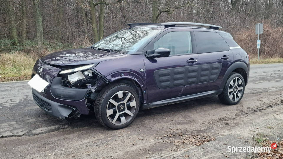 Citroen C4 Cactus 16 Hdi I 2014 Pleszew