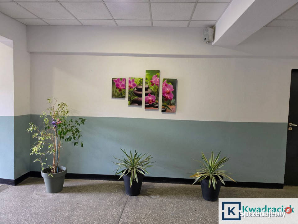 Do wynajęcia lokal 65m2 Olszanica 65m2