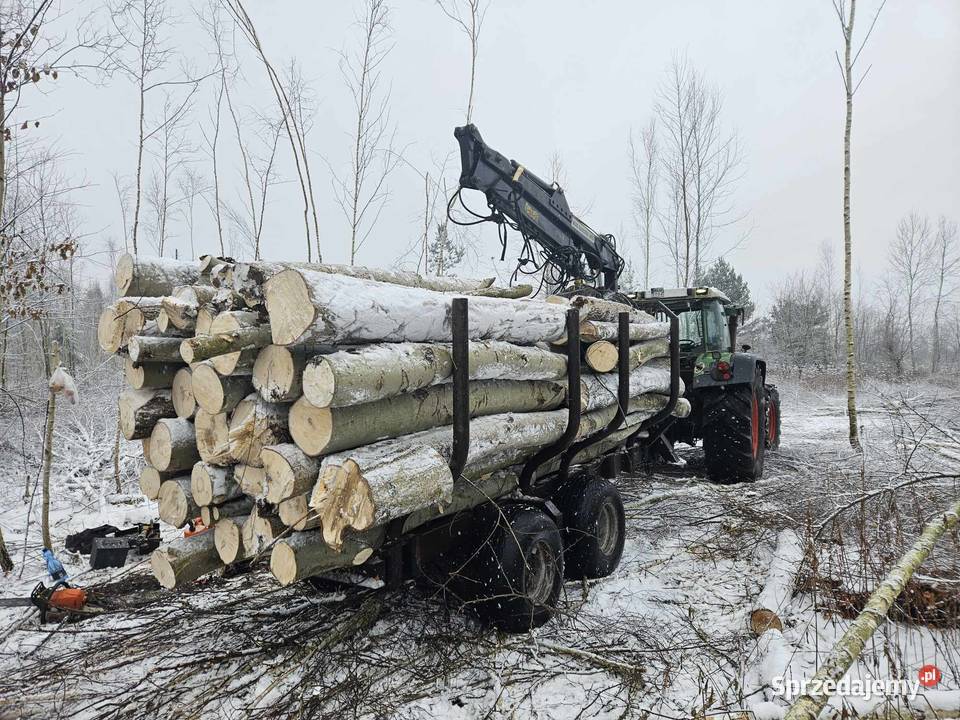 Opałowe drewno sosnabrzozaosika mazowieckie Baniocha sprzedam