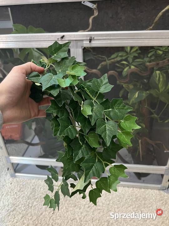 Terrarium z siatki 100x50x100 kameleona DUŻE Sopot