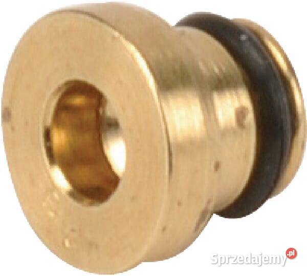 Dysza główna 591936