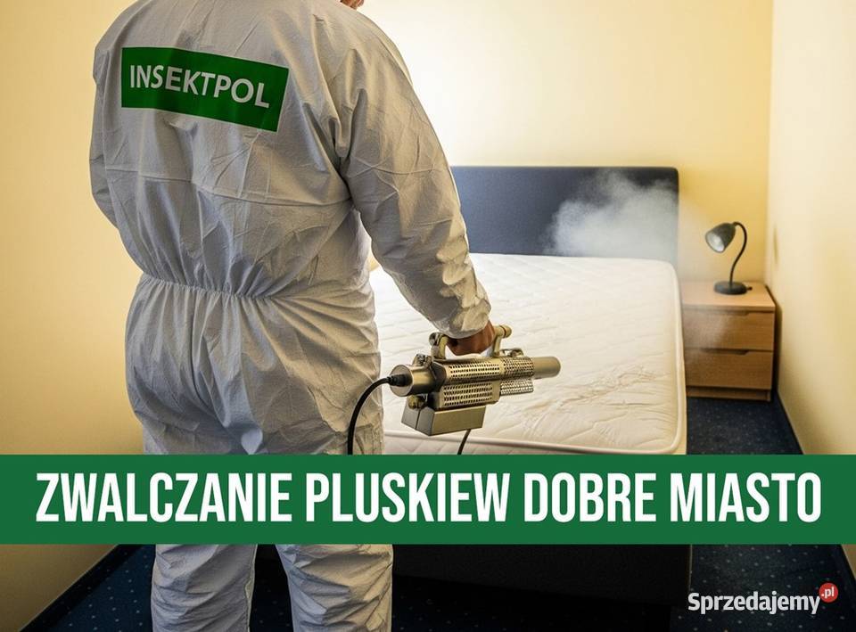 Zwalczanie Pluskiew Miasto Odpluskwianie Lubawa