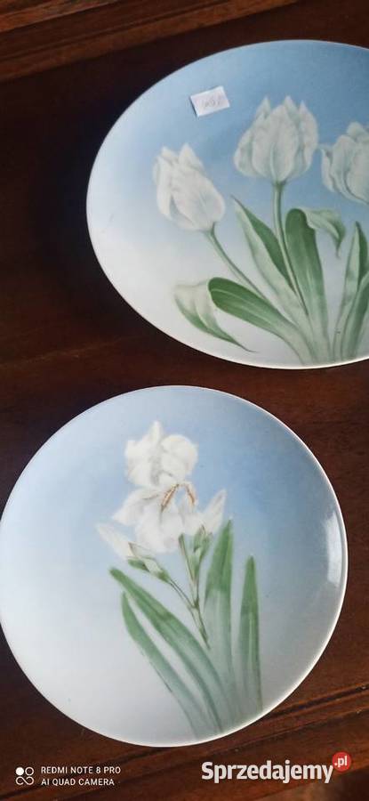 Talerz Rosenthal Sevres Sygnał Thomas Syg z