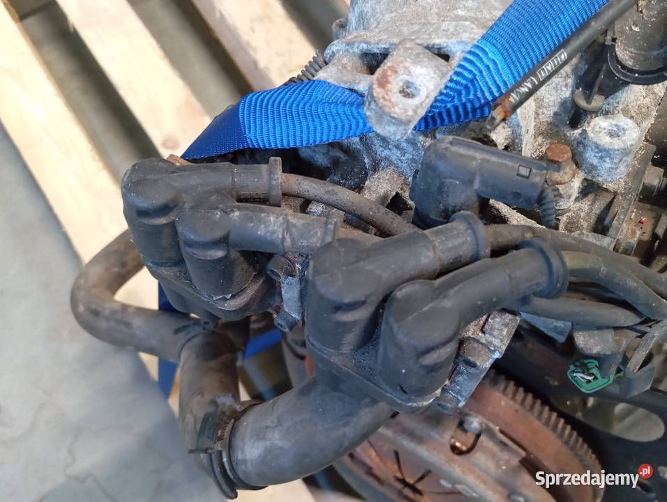 Silnik 11 Seicento Panda mazowieckie Warszawa