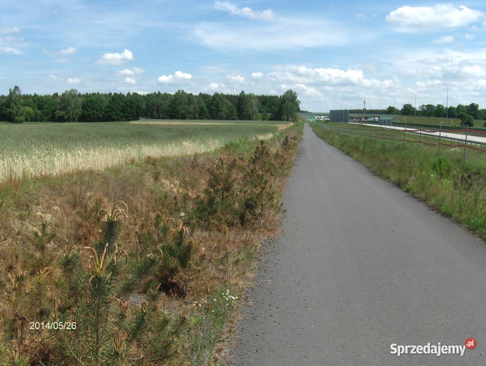 Wydzierżawię 75 hektara gruntów rolnych w Kraśnik Dolny sprzedam